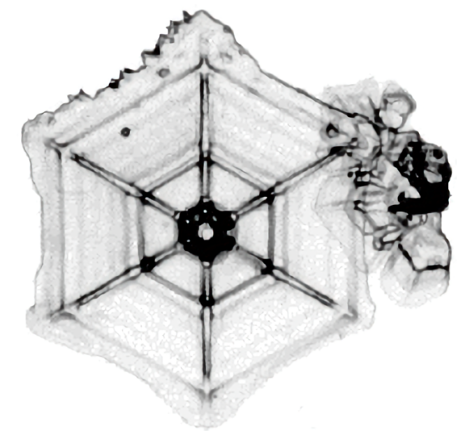 Simple plate Simple plate