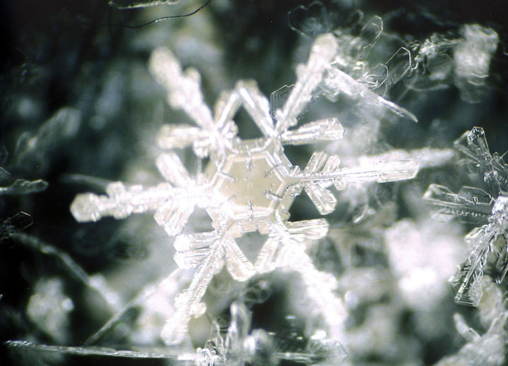 反射光で観察した雪結晶