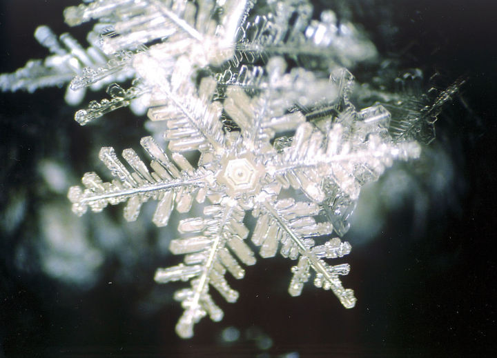 反射光で観察した雪結晶