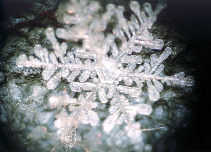反射光で観察した雪結晶