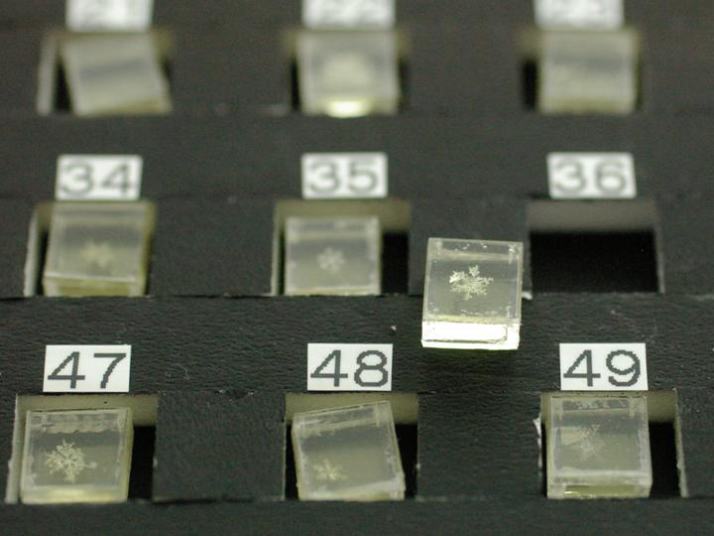 ブロック型の樹脂包埋レプリカ_1