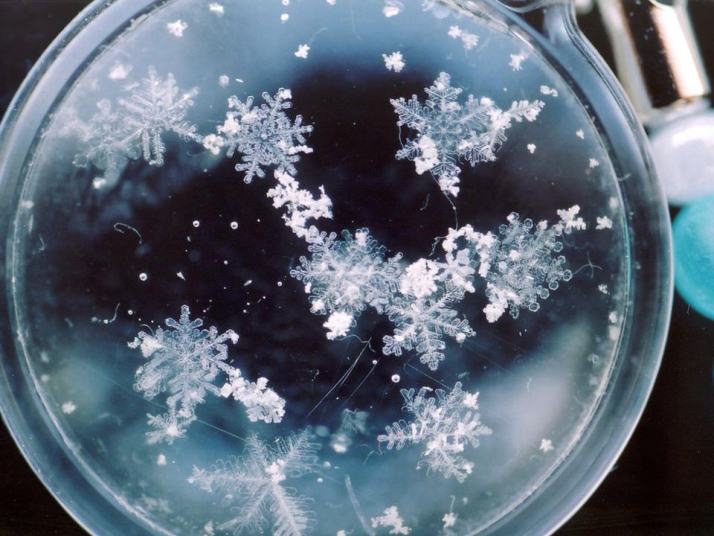 雪の結晶ストラップの拡大