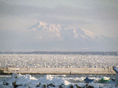 流氷の海