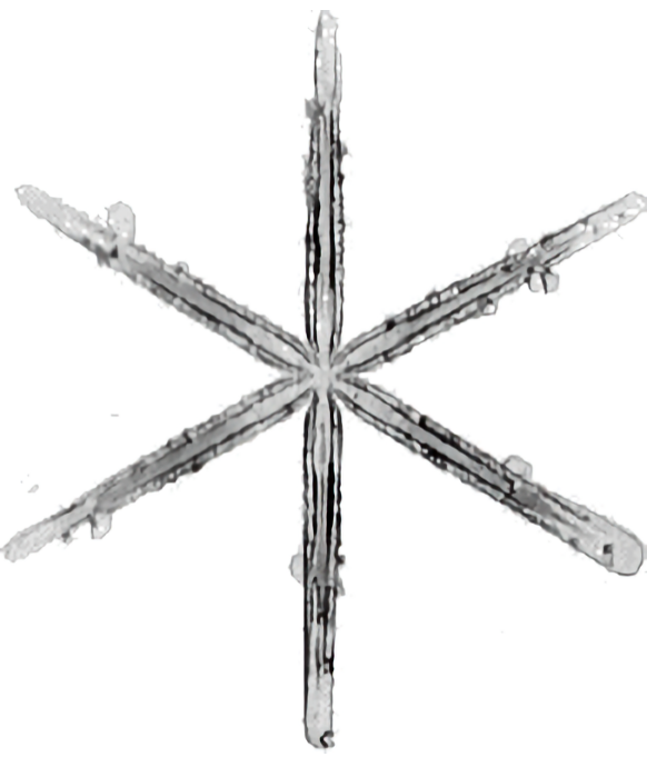 Simple stellar form Simple stellar form