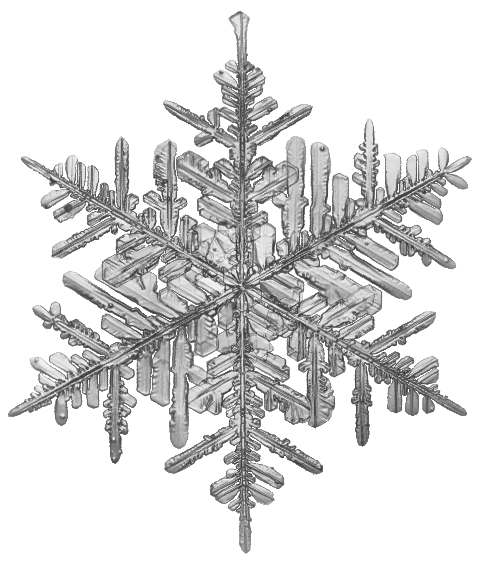 Fernlike crystal Fernlike crystal