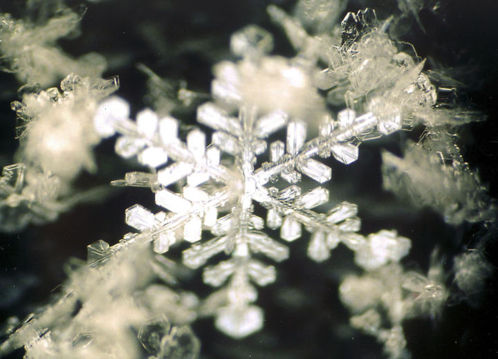 反射光で観察した雪結晶