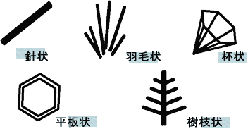 霜の形（イメージ図）