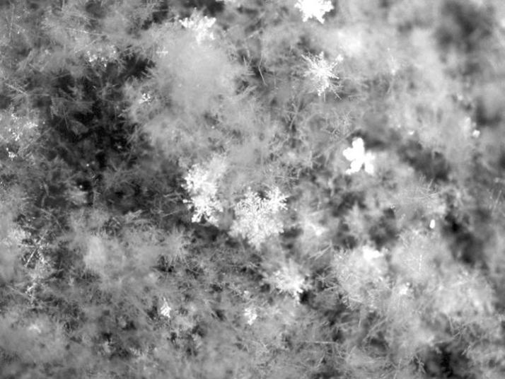 降雪直後の雪面