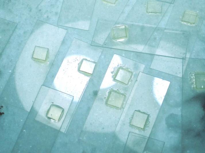 蛍光灯により野外で樹脂を硬化しているところ