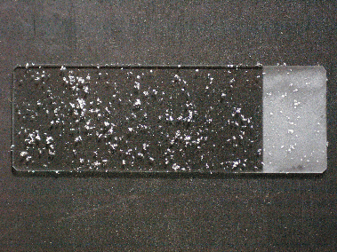 スライドガラスに受けた粉雪
