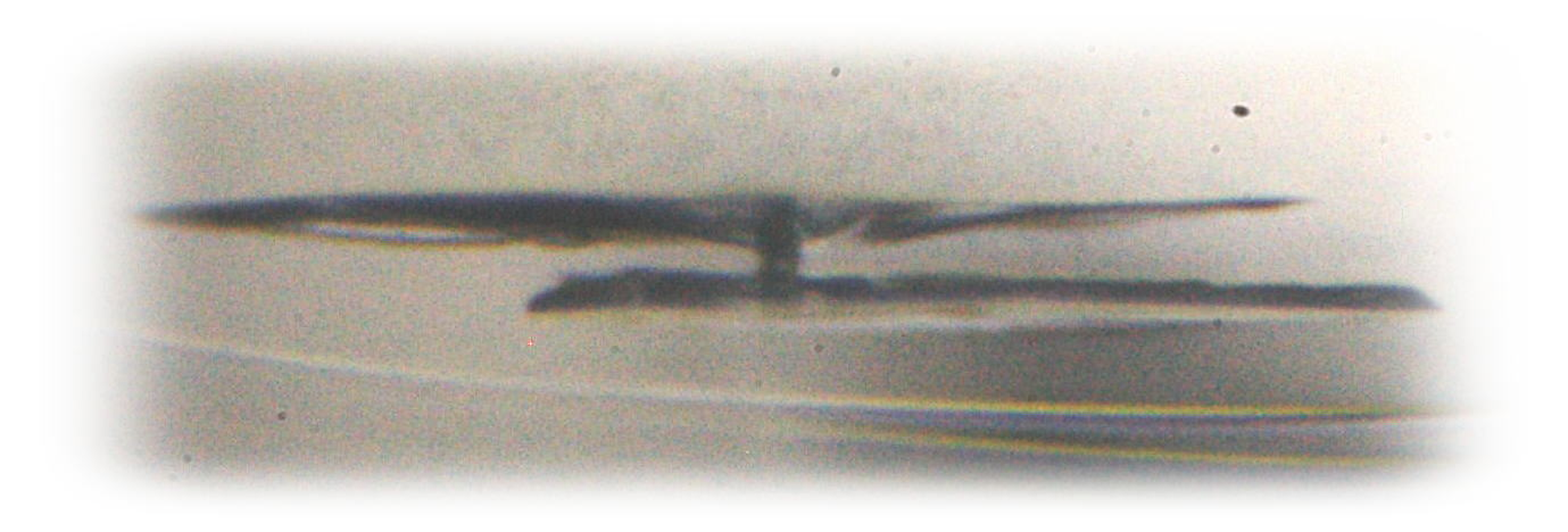 Snow crystal which has a small circular pattern in the center (side view) Snow crystal which has a small circular pattern in the center (side view)