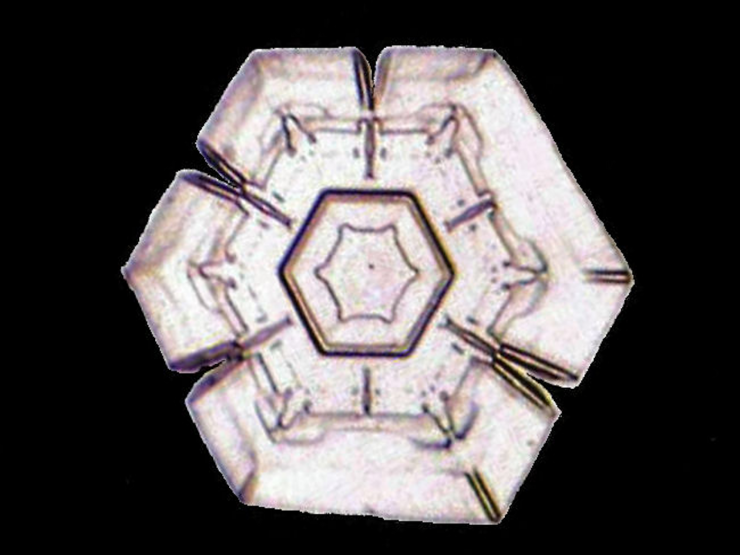 縁取り法を施した画像(角板)