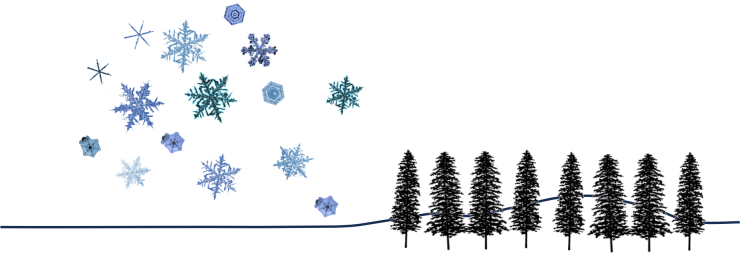 winter field.png