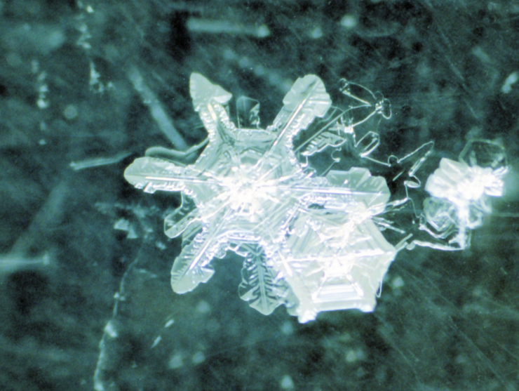 星空の下で降ってきた角板