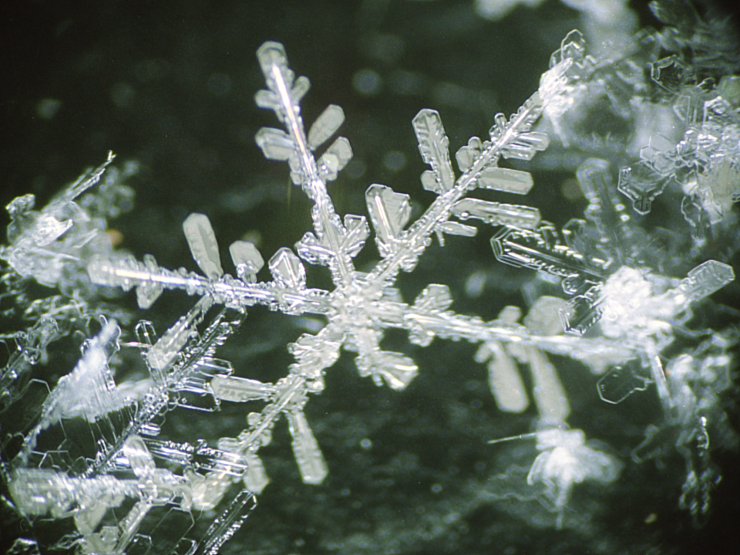 五花の雪結晶