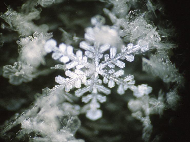 反射光で観察した雪結晶