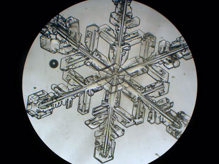 雪のレプリカの観察例