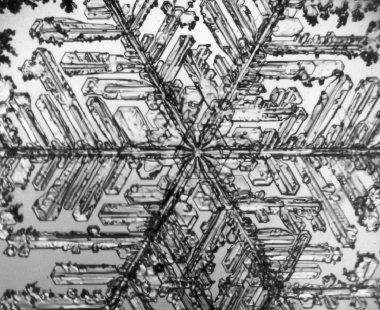 レプリカの拡大