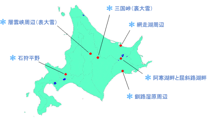 フィールド紹介