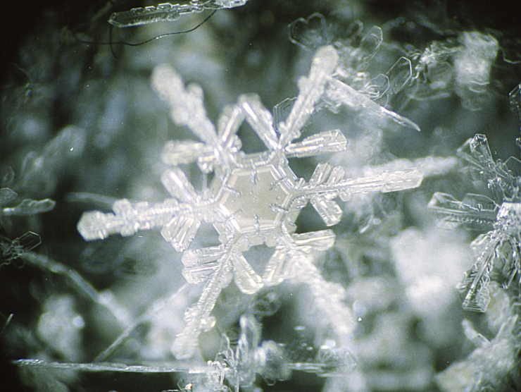 反射光で観察した雪結晶