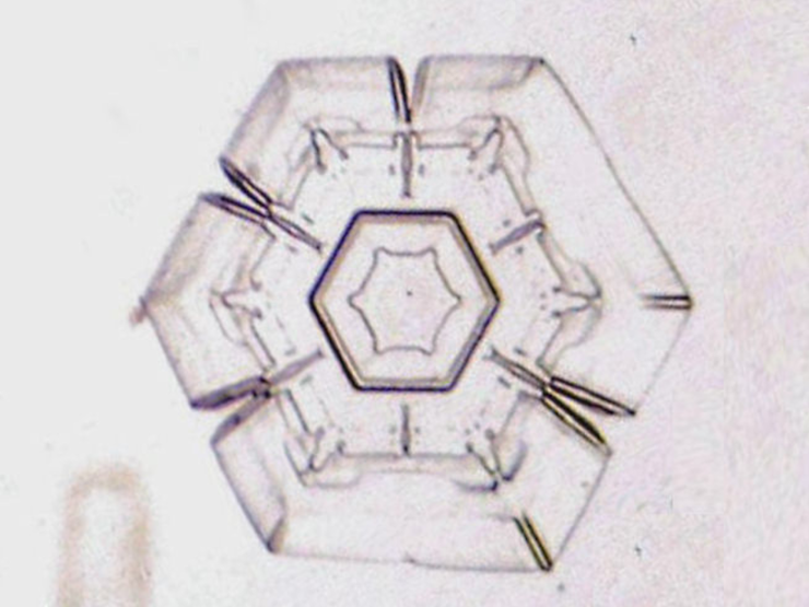 透過光で観察した角板