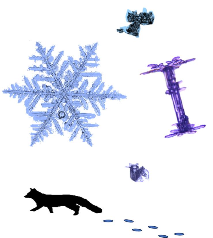 冬の北海道2.png