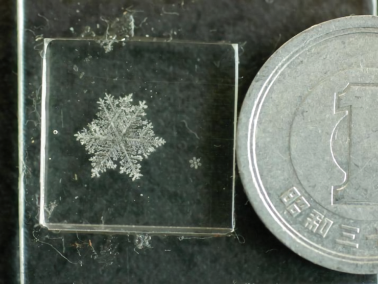 大きな雪結晶のレプリカ