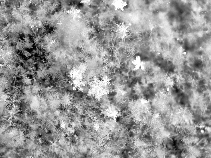 降雪直後の雪面